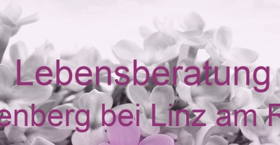 Lebensberatung Dattenberg bei Linz am Rhein | Top-Experten für Kartenlegen, Wahrsagen, Hellsehen, Zukunftsdeutung. Lebensberatung Dattenberg bei Linz am Rhein | Top-Experten für Kartenlegen, Wahrsagen, Hellsehen, Zukunftsdeutung.